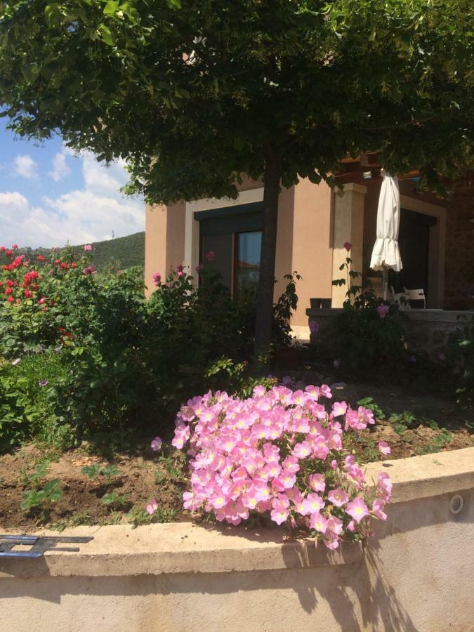 Olive Tree Cottage Néa Péramos Exterior foto